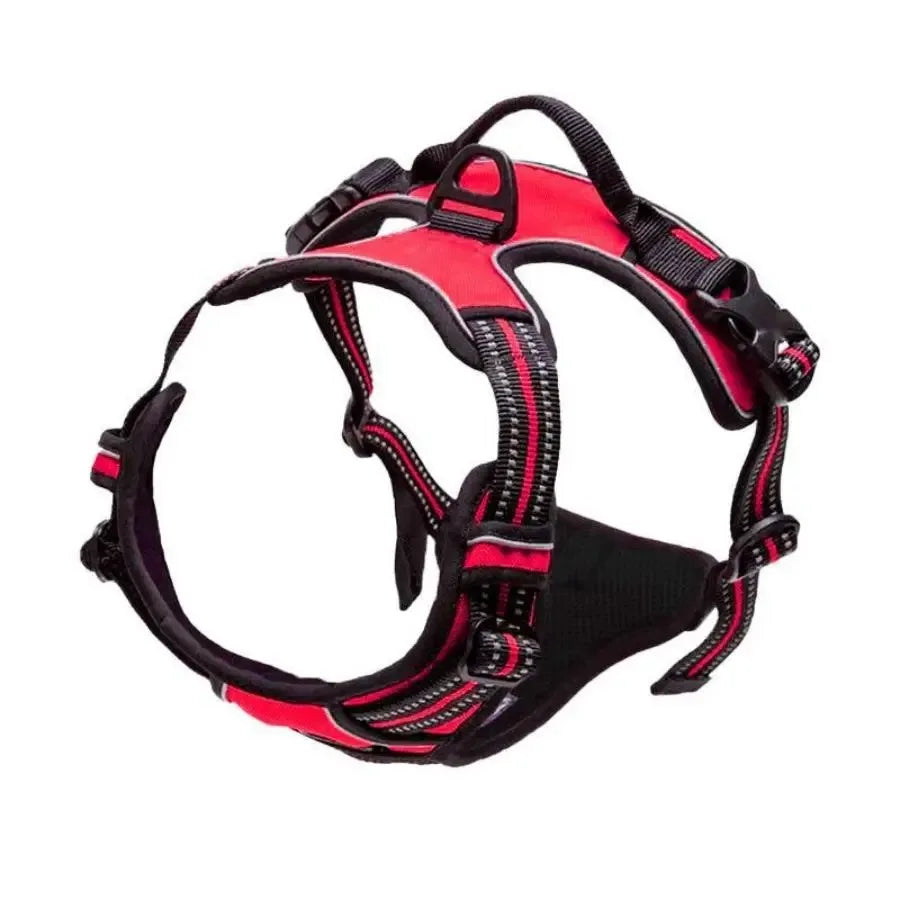 Leather Dog Collar & Harness Set with Leash – Adjustable Vest for Small & Medium Dogs